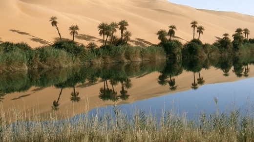 مُسطّحات مائية بالصحراء تتحوّل إلى حمامات مفتوحة للسّيّاح… !