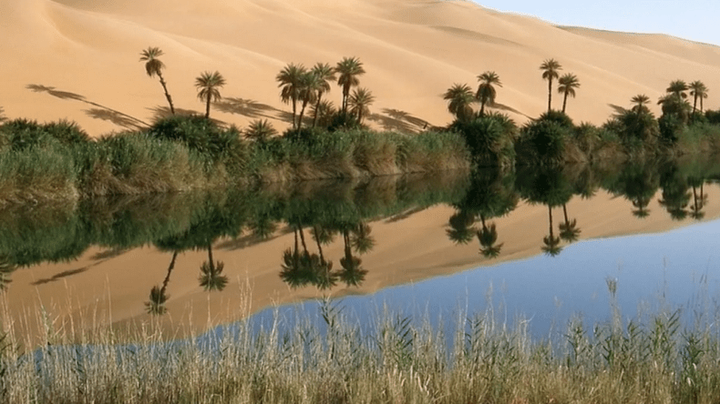 مُسطّحات مائية بالصحراء تتحوّل إلى حمامات مفتوحة للسّيّاح… !