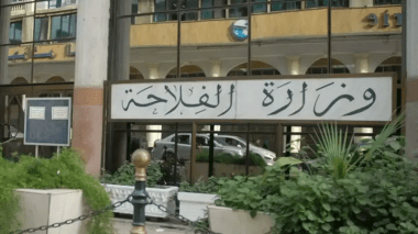 هؤلاء المستوردون مطالبون بكشف المخزون والأسعار بالدولار!
