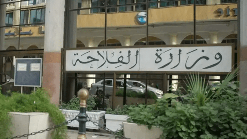 هؤلاء المستوردون مطالبون بكشف المخزون والأسعار بالدولار!