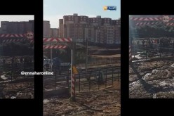 بالفيديو.. “الرّاية” في زرالدة “داها الواد”