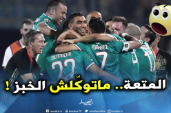 المصريون يستفزون الخضر بشعار “المتعة ما بتأكلش عيش” !