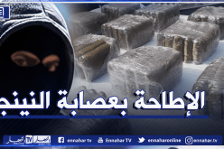 هكذا حاولت عصابة “النينجا” إغراق العاصمة بالزطلة المغربية