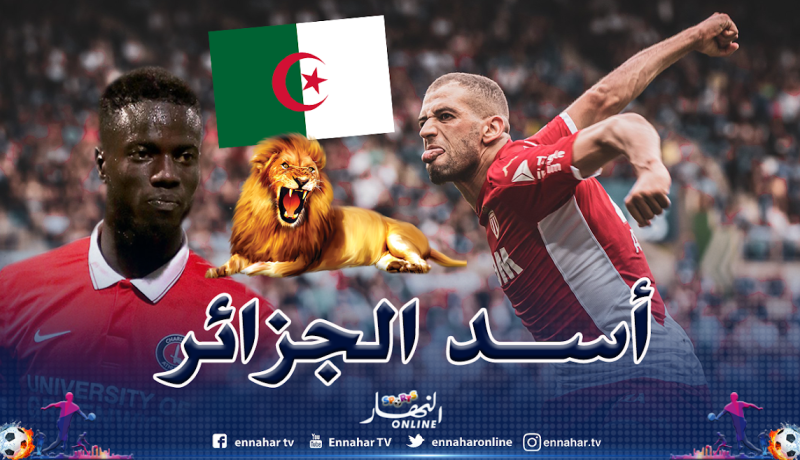 نابي سار: ” سليماني يقتل منافسيه بدون رحمة”