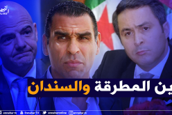 الفاف بين مطرقة الفيفا وسندان الوزارة !