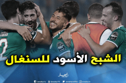 الجزائر الشبح الأسود للسنغال في كأس أمم إفريقيا تاريخيا !