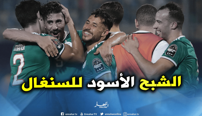 الجزائر الشبح الأسود للسنغال في كأس أمم إفريقيا تاريخيا !