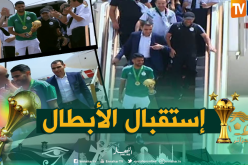 بدوي وبرناوي ووزير الداخلية يستقبلون أسياد إفريقيا بالمطار