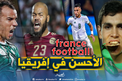 6 لاعبين جزائريين في التشكيلة المثالية لكأس امم إفريقيا