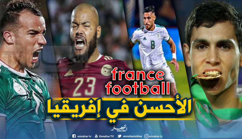 6 لاعبين جزائريين في التشكيلة المثالية لكأس امم إفريقيا