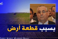 محكمة تيبازة.. عامان حبسا نافذا للسيناتور السابق عبد القادر زحالي بتهمة التزوير