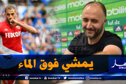 تصريحات “بلماضي” تمنح “سليماني” ثقة كبيرة