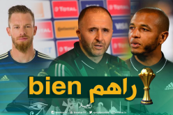 بلماضي يطمئن الجماهير الجزائرية بخصوص براهيمي وأوكيدجة