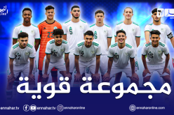 قرعة كأس العرب للمنتخبات.. الجزائر تواجه الإمارات ليبيا وجيبوتي