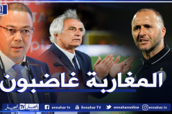 بالفيديو.. حاليلوزيتش يفضح المغاربة ويكشف عن غضبهم من تتويج الخضر!