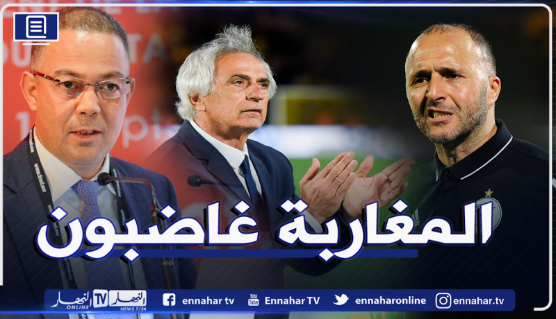 بالفيديو.. حاليلوزيتش يفضح المغاربة ويكشف عن غضبهم من تتويج الخضر!