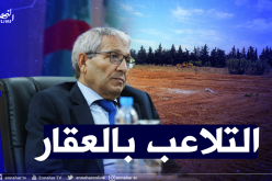 هكذا تم التلاعب بأراضي الدولة ومنحها لشركة صناعة التجهيزات الإلكترونية بتيبازة