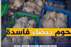 المسيلة: حجز 168 كغ من اللحوم البيضاء الفاسدة في عين الحجل