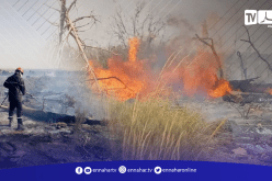 سيدي بلعباس..اخماد حريق بغابة في بلدية الضاية