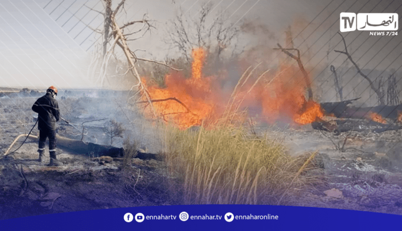سيدي بلعباس..اخماد حريق بغابة في بلدية الضاية