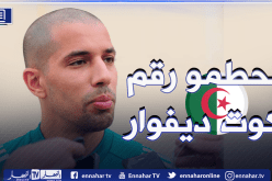 فيغولي يُثمن سلسلة اللانهزام ويوجه رسالة للجماهير الجزائرية