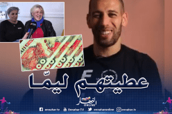 بالفيديو.. سليماني: ” الشهرية الأولى مديتها ليمّا”
