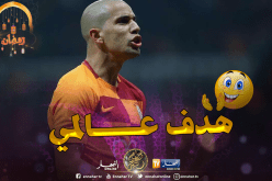 بالفيديو..فغولي يسجل هدفا عالميا في مرمى ريزسبور