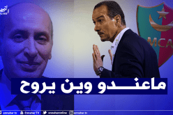 ألماس لنغيز: “ستبقى معنا رغما عن أنفك”