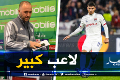 بلماضي: “عليك أن تكون أعمى حتى لا تشيد بإمكانيات عوار”