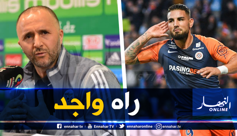 بلماضي: “دولور جاهز لمواجهة زامبيا”