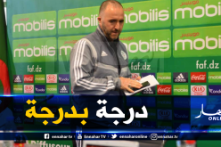 بلماضي: “تصفيات الكان أولا وبعدها تصفيات المونديال”