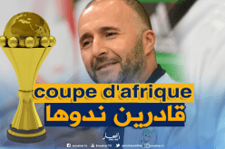 بلماضي: ” الجزائر المغرب تونس نيجيريا والسنغال قادرون على التتويج”