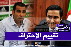 وزارة الشباب والرياضة تطالب الفاف بتقييم الإحتراف في عامه العاشر