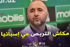 بلماضي يتراجع عن برمجة تربص الخضر بإسبانيا