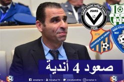 رسميا.. صعود 4 أندية إلى المحترف الأول وإلغاء السقوط