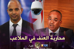 الحكومة تلجأ لإستعمال التكنولوجيا لمكافحة العنف في الملاعب