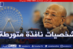 تفاصيل مثيرة حول تورط زوخ في صفقة مشبوهة لتنصيب “عجلة الترفيه” بالصابلات