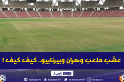 الفاف: “نفس الشركة التي جددت عشب ملعب بيرنابيو تعمل في وهران”