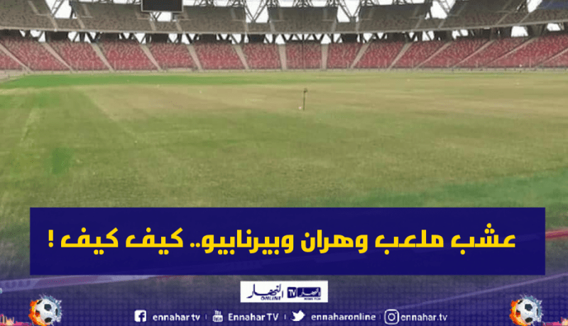 الفاف: “نفس الشركة التي جددت عشب ملعب بيرنابيو تعمل في وهران”