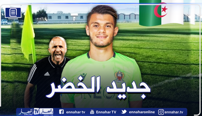 بلماضي يشرع في تحضير خليفة مبولحي الجديد!