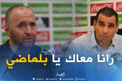 زطشي: ” الشعب يساند بلماضي لأنه الرجل المناسب في المكان المناسب”