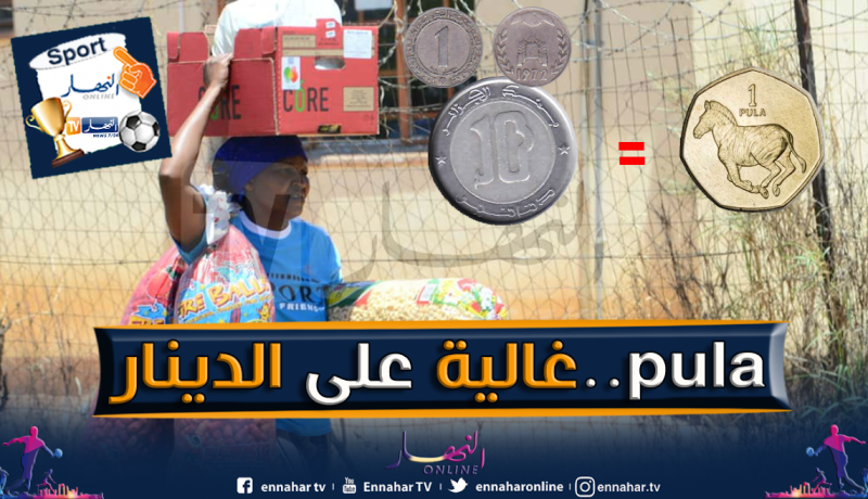 الـ PULA البوتسوانية أغلى من الدينار الجزائري !