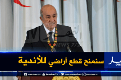 تبون يتعهد بدعم الأندية المحترفة ماديا والنهوض بقطاع الرياضة