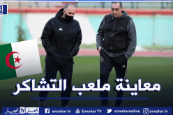بلماضي يعاين أرضية ملعب تشاكر فور وصوله إلى الجزائر