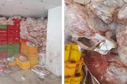 “فضيحة غذائية” في لبنان.. بيع دجاج فاسد منذ سنة 2016 في الأسواق!