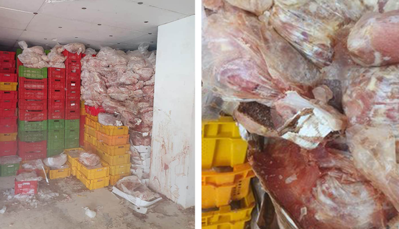 “فضيحة غذائية” في لبنان.. بيع دجاج فاسد منذ سنة 2016 في الأسواق!