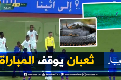 بالفيديو.. ثعبان يتسبب في توقيف مباراة بكأس ملك السعودية!