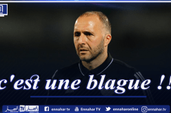 بلماضي يسخر من قرار تعيين حكم بوركينابي لإدارة مباراة الخضر