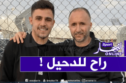 بلماضي يعود إلى نادي الدحيل القطري لهذا السبب!