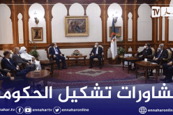 الرئيس تبون يستقبل وفدا عن الأفلان وممثلين عن الأحرار في إطار مشاورات تشكيل الحكومة